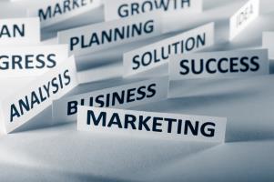 BUSINESS CONSULTING